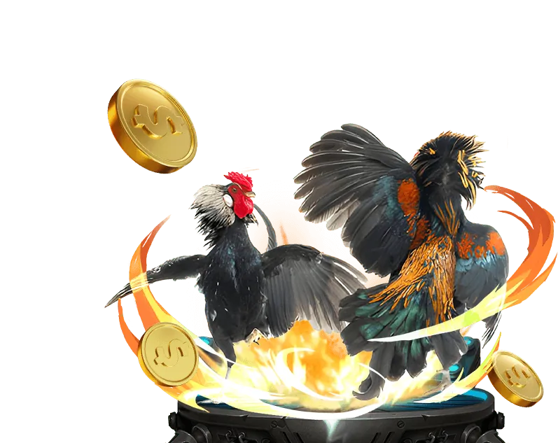 Công bằng và RNG được chứng nhận